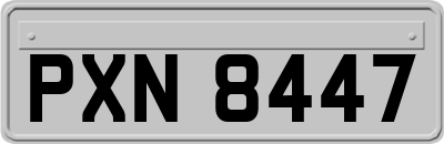 PXN8447