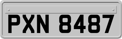 PXN8487