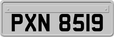 PXN8519