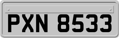 PXN8533