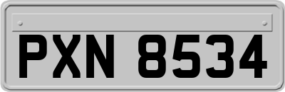 PXN8534