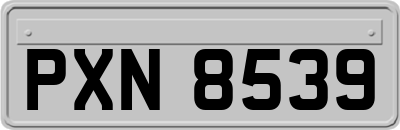 PXN8539