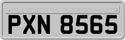 PXN8565