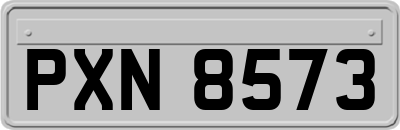 PXN8573