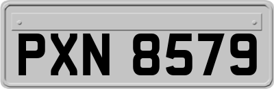 PXN8579