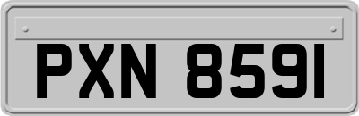 PXN8591