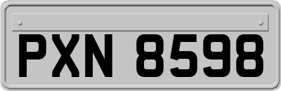 PXN8598