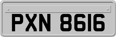 PXN8616