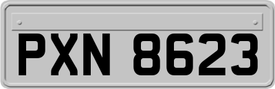 PXN8623