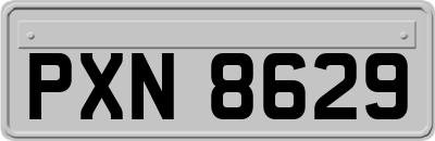 PXN8629