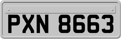 PXN8663