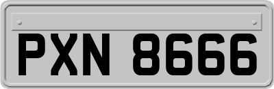 PXN8666