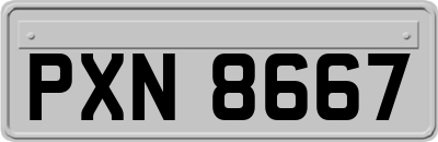 PXN8667