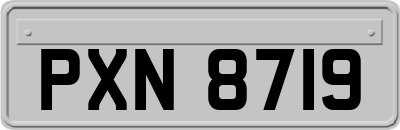 PXN8719