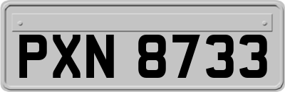 PXN8733