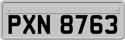 PXN8763