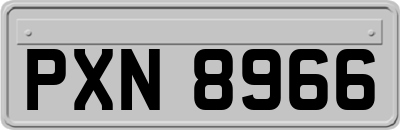 PXN8966