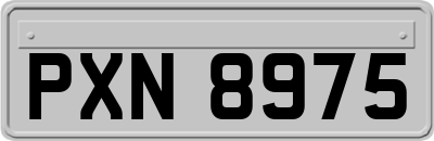 PXN8975