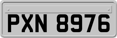 PXN8976