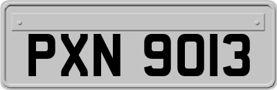 PXN9013