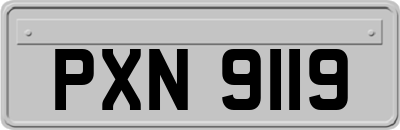PXN9119