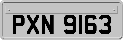 PXN9163