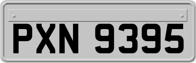 PXN9395