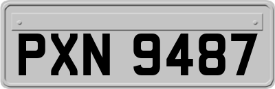 PXN9487