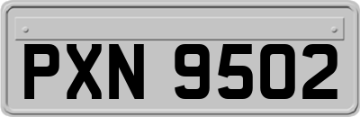 PXN9502