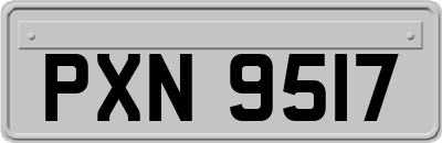 PXN9517