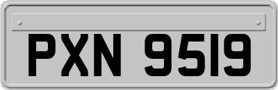 PXN9519