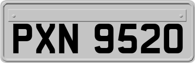 PXN9520