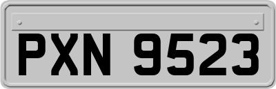 PXN9523