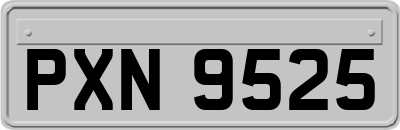 PXN9525