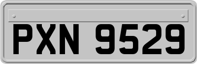 PXN9529