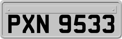 PXN9533