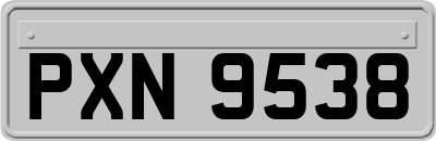 PXN9538