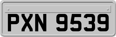 PXN9539