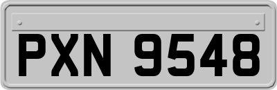 PXN9548