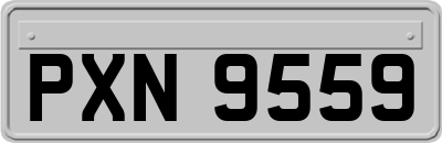 PXN9559