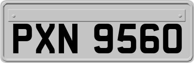 PXN9560