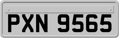 PXN9565