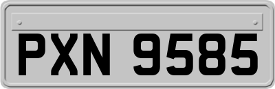 PXN9585