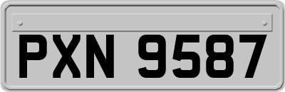 PXN9587