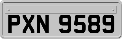 PXN9589