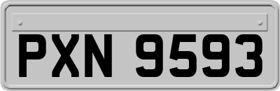 PXN9593