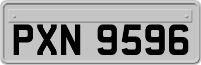 PXN9596