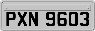 PXN9603