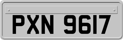 PXN9617