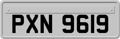 PXN9619